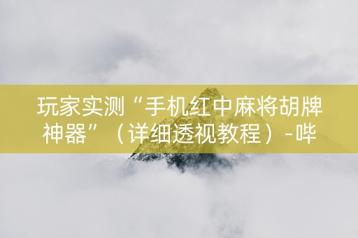 玩家实测“手机红中麻将胡牌神器”（详细透视教程）-哔哩哔哩