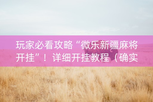 玩家必看攻略“微乐新疆麻将开挂”！详细开挂教程（确实真的有挂)-知乎