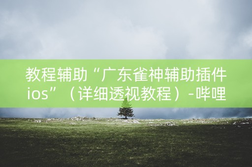 教程辅助“广东雀神辅助插件ios”（详细透视教程）-哔哩哔哩