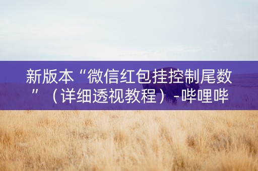 新版本“微信红包挂控制尾数”（详细透视教程）-哔哩哔哩