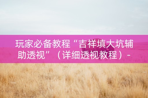 玩家必备教程“吉祥填大坑辅助透视”（详细透视教程）-哔哩哔哩