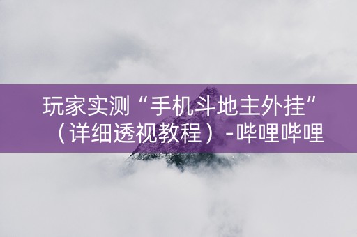 玩家实测“手机斗地主外挂”（详细透视教程）-哔哩哔哩