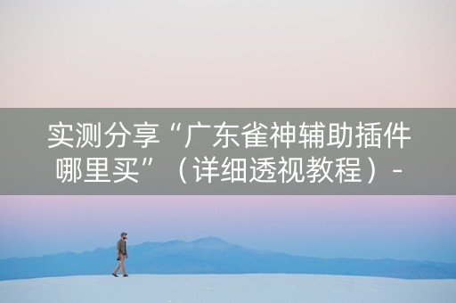 实测分享“广东雀神辅助插件哪里买”（详细透视教程）-哔哩哔哩