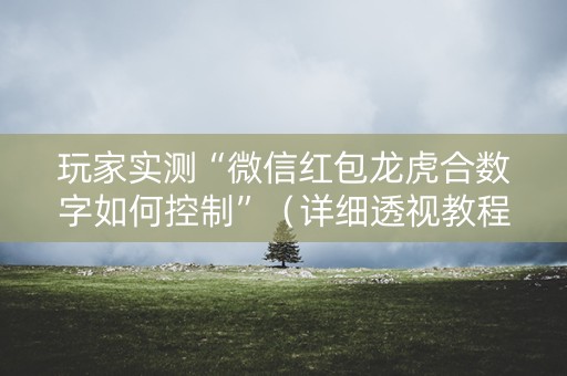 玩家实测“微信红包龙虎合数字如何控制”（详细透视教程）-哔哩哔哩