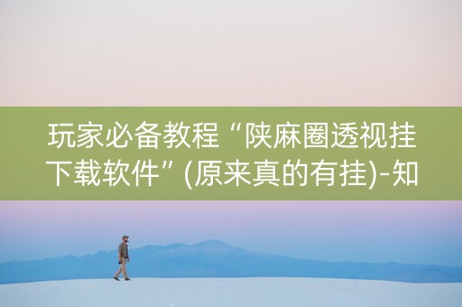 玩家必备教程“陕麻圈透视挂下载软件”(原来真的有挂)-知乎