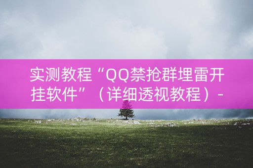实测教程“QQ禁抢群埋雷开挂软件”（详细透视教程）-哔哩哔哩