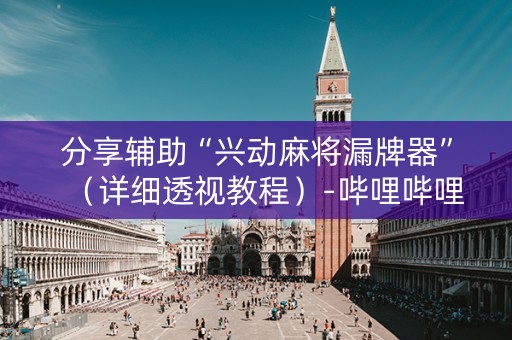 分享辅助“兴动麻将漏牌器”（详细透视教程）-哔哩哔哩