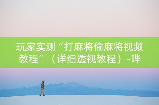 玩家实测“打麻将偷麻将视频教程”（详细透视教程）-哔哩哔哩