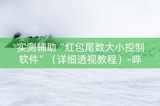 实测辅助“红包尾数大小控制软件”（详细透视教程）-哔哩哔哩