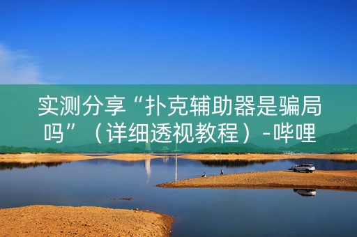 实测分享“扑克辅助器是骗局吗”（详细透视教程）-哔哩哔哩