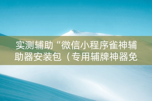 实测辅助“微信小程序雀神辅助器安装包（专用辅牌神器免安装）