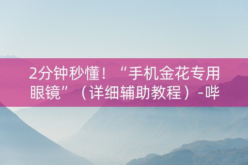 2分钟秒懂！“手机金花专用眼镜”（详细辅助教程）-哔哩哔哩