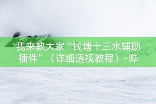 我来教大家“钱塘十三水辅助插件”（详细透视教程）-哔哩哔哩
