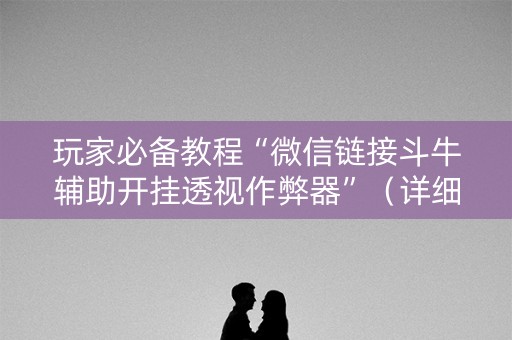 玩家必备教程“微信链接斗牛辅助开挂透视作弊器”（详细透视教程）-哔哩哔哩