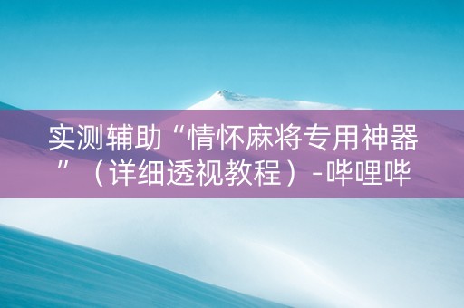 实测辅助“情怀麻将专用神器”（详细透视教程）-哔哩哔哩