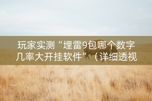 玩家实测“埋雷9包哪个数字几率大开挂软件”（详细透视教程）-哔哩哔哩