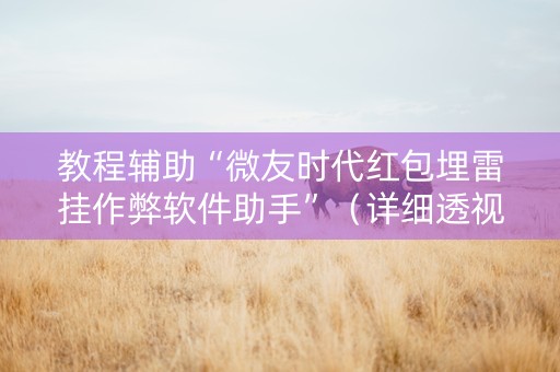 教程辅助“微友时代红包埋雷挂作弊软件助手”（详细透视教程）-哔哩哔哩