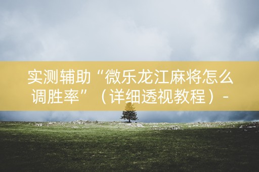 实测辅助“微乐龙江麻将怎么调胜率”（详细透视教程）-哔哩哔哩