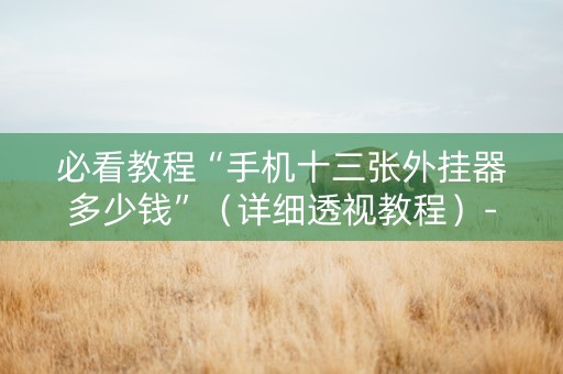 必看教程“手机十三张外挂器多少钱”（详细透视教程）-哔哩哔哩