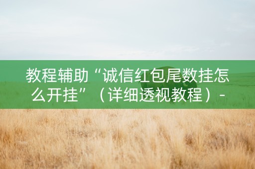 教程辅助“诚信红包尾数挂怎么开挂”（详细透视教程）-哔哩哔哩