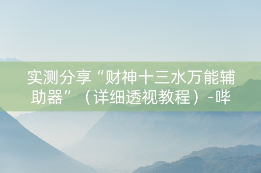 实测分享“财神十三水万能辅助器”（详细透视教程）-哔哩哔哩