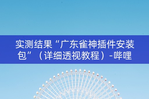 实测结果“广东雀神插件安装包”（详细透视教程）-哔哩哔哩