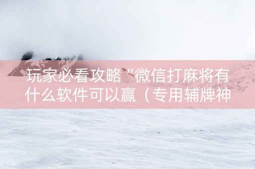 玩家必看攻略“微信打麻将有什么软件可以赢（专用辅牌神器免安装）