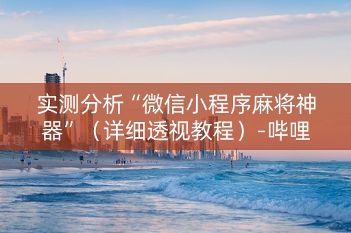 实测分析“微信小程序麻将神器”（详细透视教程）-哔哩哔哩