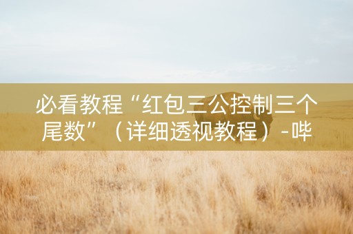 必看教程“红包三公控制三个尾数”（详细透视教程）-哔哩哔哩