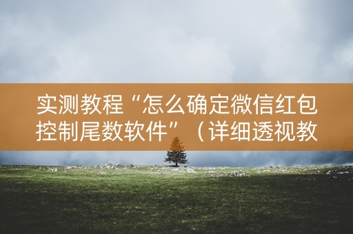 实测教程“怎么确定微信红包控制尾数软件”（详细透视教程）-哔哩哔哩