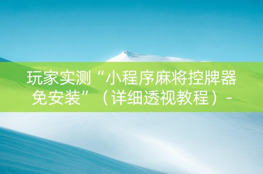 玩家实测“小程序麻将控牌器免安装”（详细透视教程）-哔哩哔哩