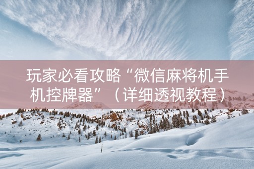 玩家必看攻略“微信麻将机手机控牌器”（详细透视教程）-哔哩哔哩