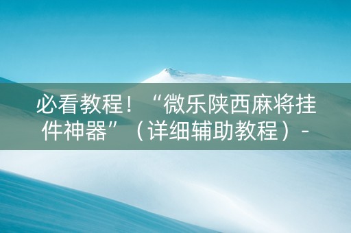 必看教程！“微乐陕西麻将挂件神器”（详细辅助教程）-哔哩哔哩