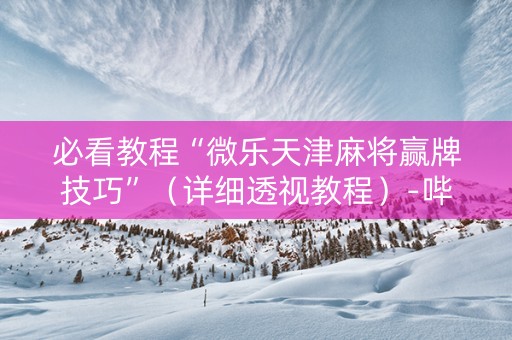 必看教程“微乐天津麻将赢牌技巧”（详细透视教程）-哔哩哔哩