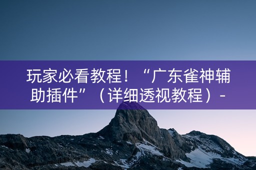 玩家必看教程！“广东雀神辅助插件”（详细透视教程）-哔哩哔哩
