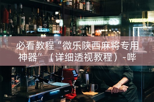 必看教程“微乐陕西麻将专用神器”（详细透视教程）-哔哩哔哩