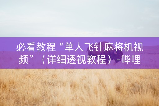 必看教程“单人飞针麻将机视频”（详细透视教程）-哔哩哔哩