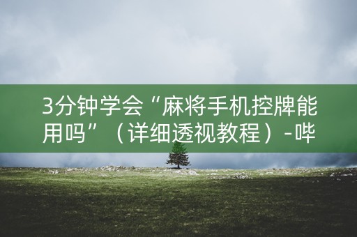 3分钟学会“麻将手机控牌能用吗”（详细透视教程）-哔哩哔哩