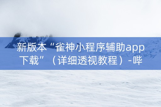 新版本“雀神小程序辅助app下载”（详细透视教程）-哔哩哔哩