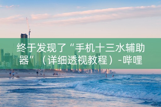终于发现了“手机十三水辅助器”（详细透视教程）-哔哩哔哩