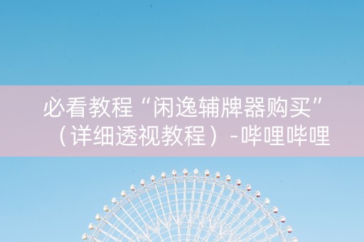 必看教程“闲逸辅牌器购买”（详细透视教程）-哔哩哔哩