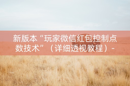 新版本“玩家微信红包控制点数技术”（详细透视教程）-哔哩哔哩