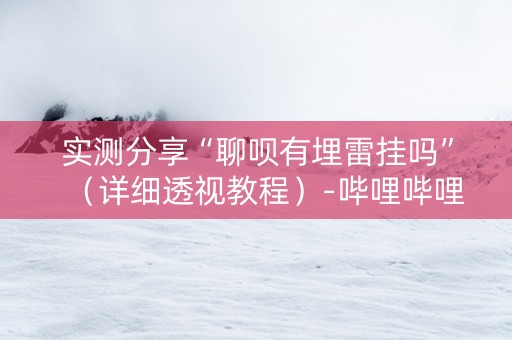 实测分享“聊呗有埋雷挂吗”（详细透视教程）-哔哩哔哩