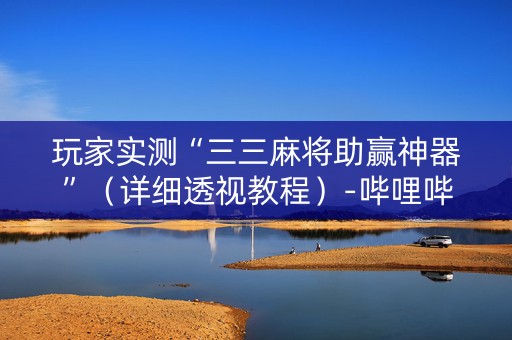 玩家实测“三三麻将助赢神器”（详细透视教程）-哔哩哔哩