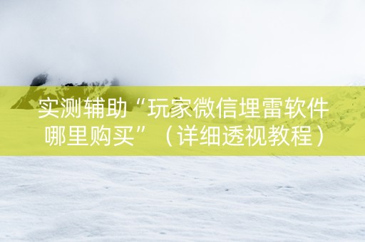实测辅助“玩家微信埋雷软件哪里购买”（详细透视教程）-哔哩哔哩