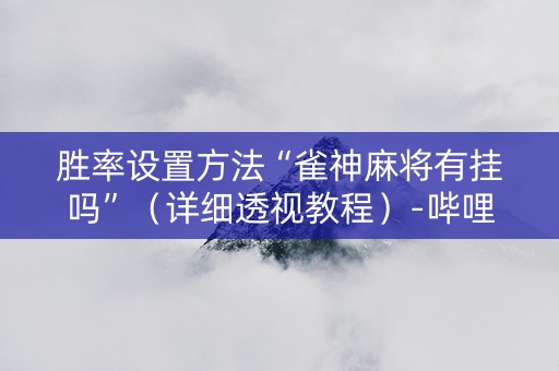 胜率设置方法“雀神麻将有挂吗”（详细透视教程）-哔哩哔哩