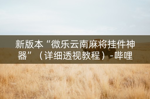 新版本“微乐云南麻将挂件神器”（详细透视教程）-哔哩哔哩