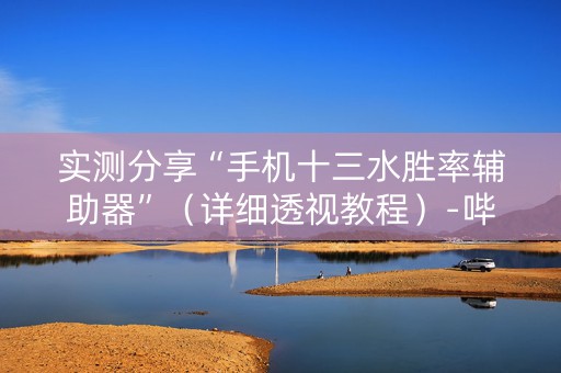 实测分享“手机十三水胜率辅助器”（详细透视教程）-哔哩哔哩