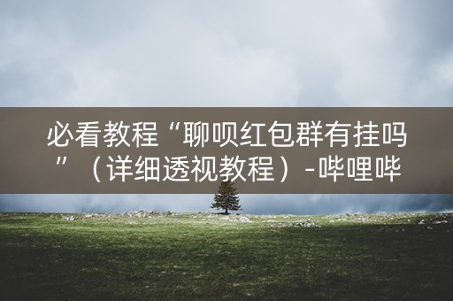 必看教程“聊呗红包群有挂吗”（详细透视教程）-哔哩哔哩