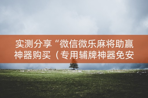 实测分享“微信微乐麻将助赢神器购买（专用辅牌神器免安装）